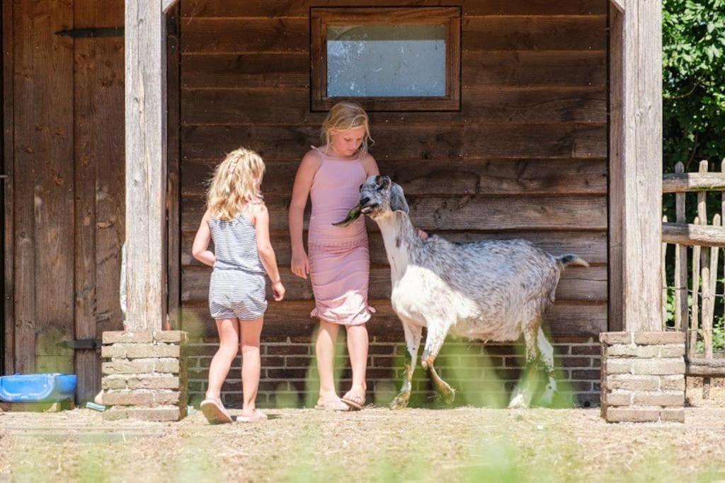 Camping De Pallegarste Chalet 119 Marienberg Екстер'єр фото